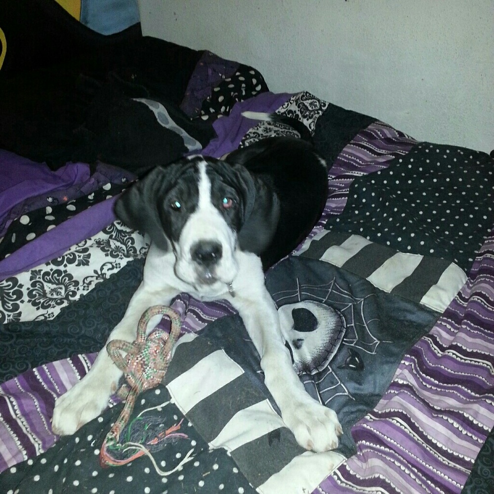 Meet your Posher, Michelle